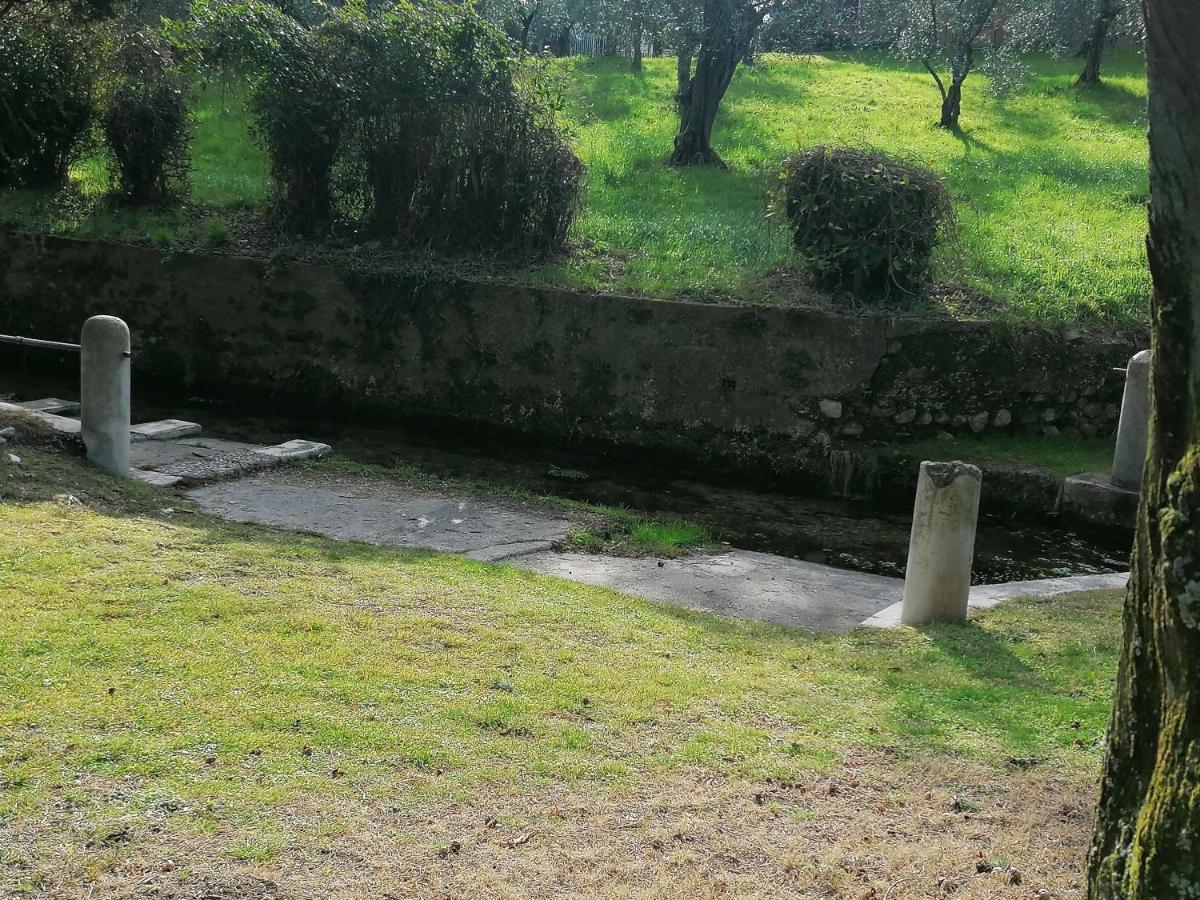 Bilocale Papavero, Magnolia O Girasole San Felice del Benaco Dış mekan fotoğraf
